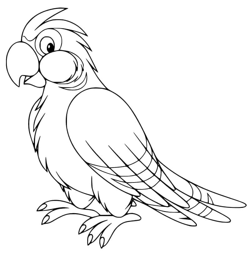 Cartoon Cockatoo