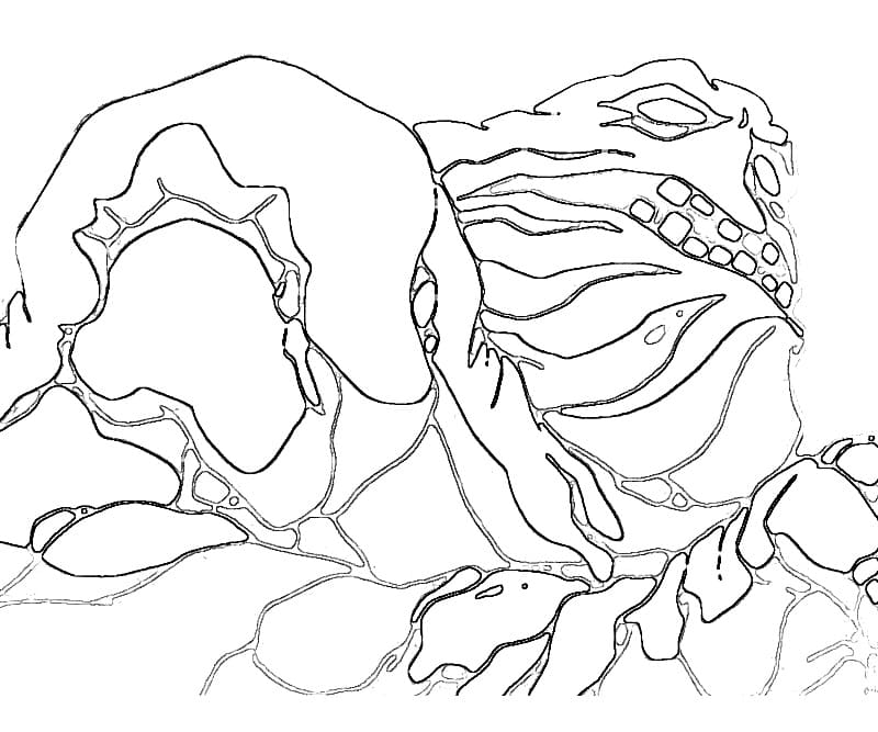 Clayface For Free coloring page