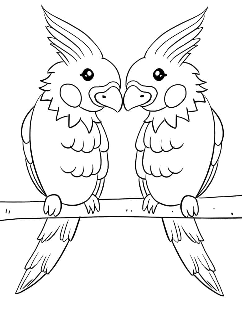 Cockatoo Couple coloring page