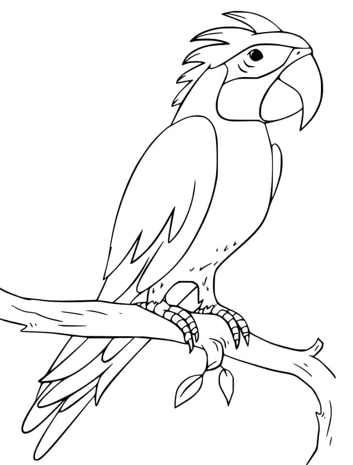 Cockatoo on a Branch coloring page