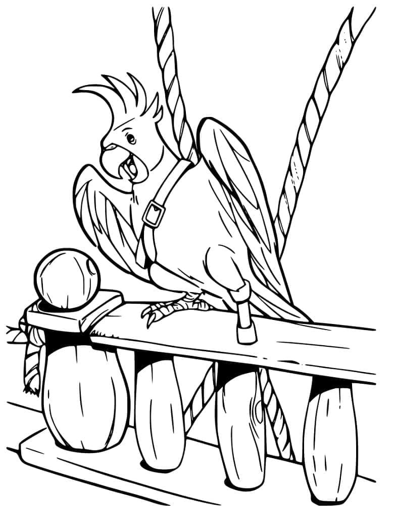 Cockatoo on Pirate Ship