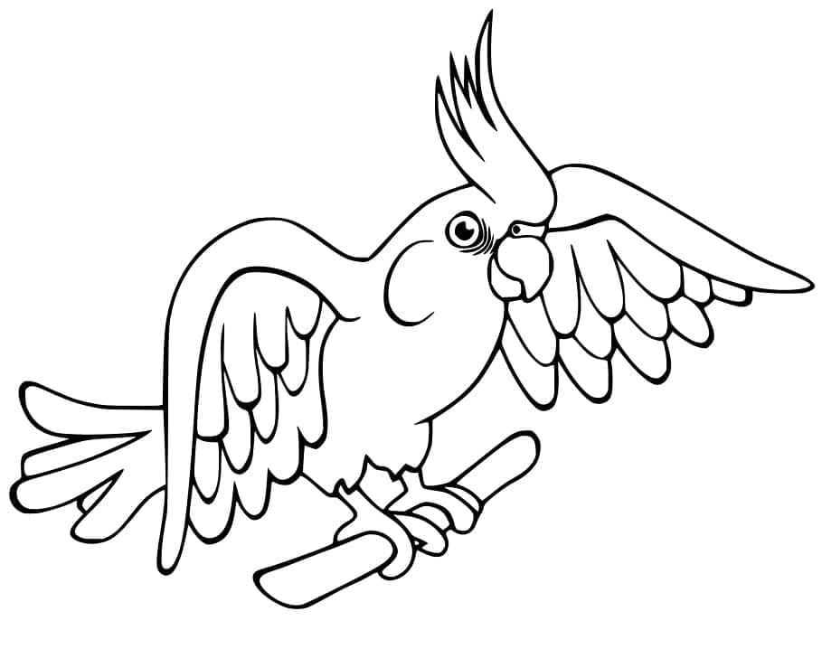 Cute Cockatoo coloring page