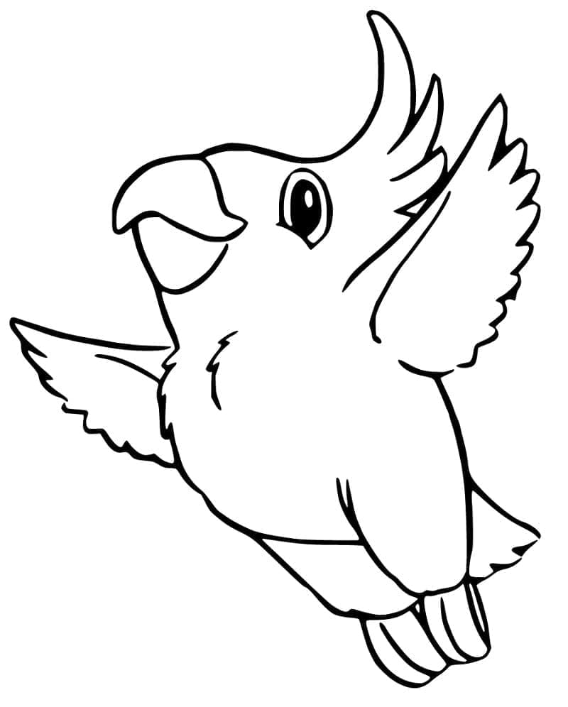 Cute Cockatoo Flying coloring page