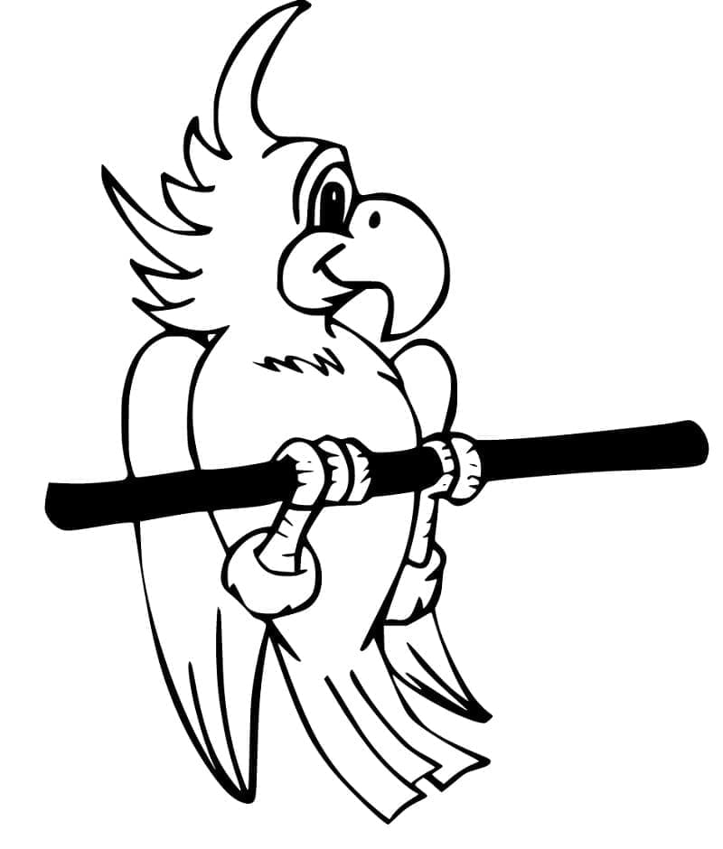 Fun Cockatoo coloring page