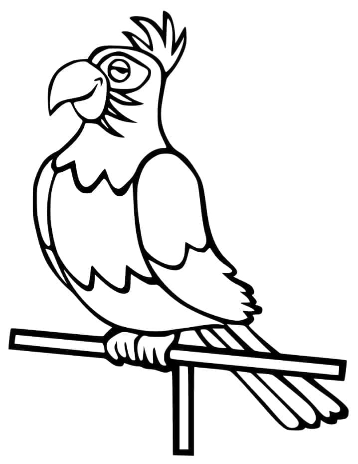 Funny Cockatoo coloring page