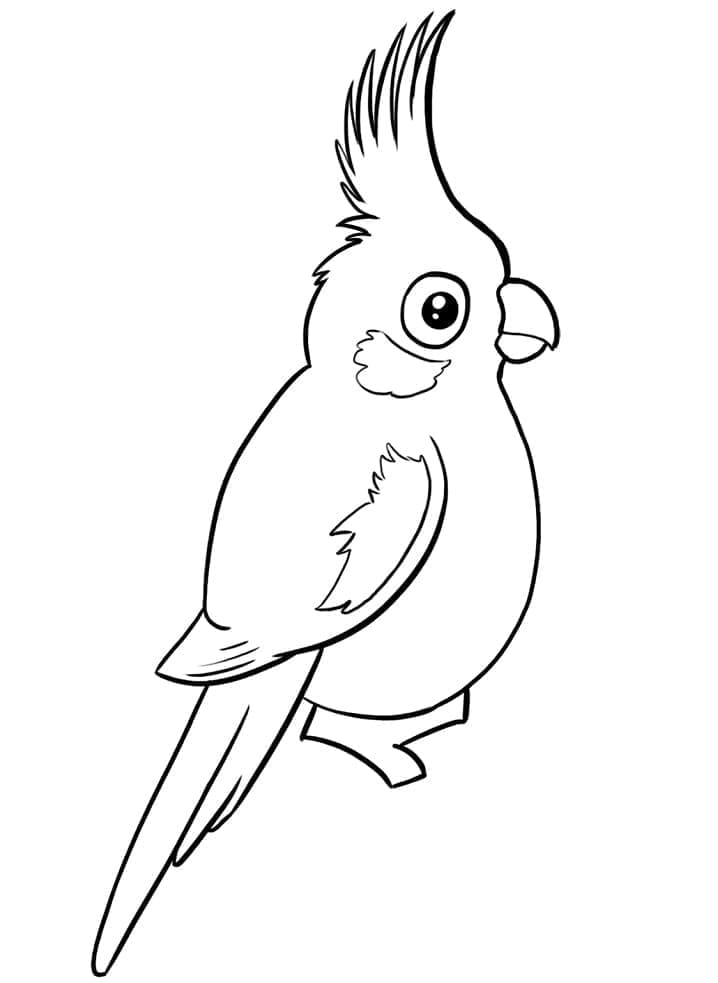 Little Funny Cockatoo coloring page