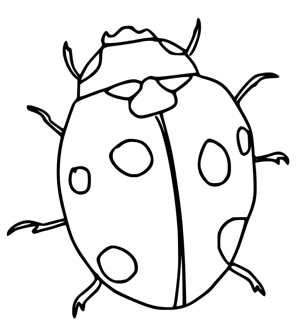 Printable Ladybug coloring page