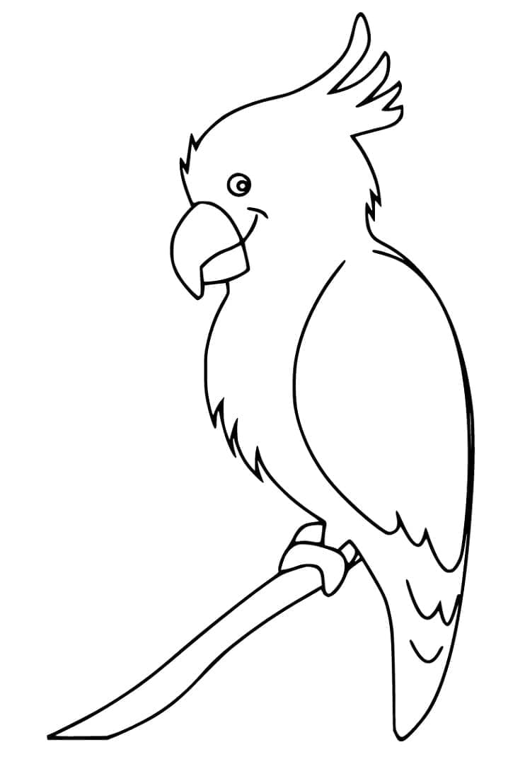 Simple Cockatoo coloring page