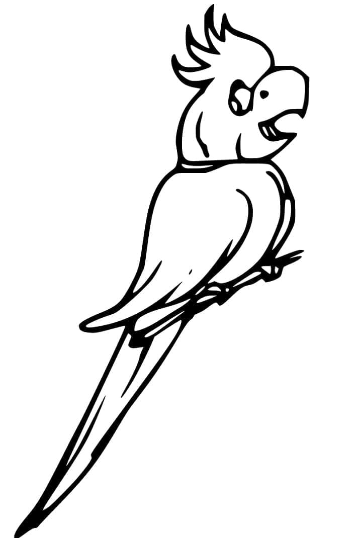 The Cockatoo coloring page