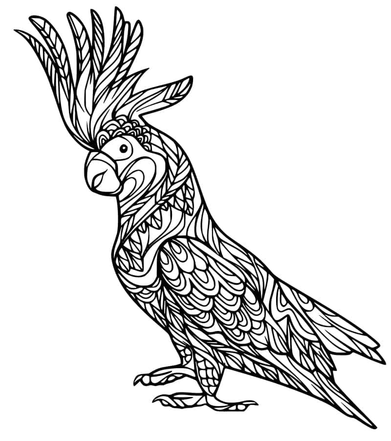 Zentangle Cockatoo