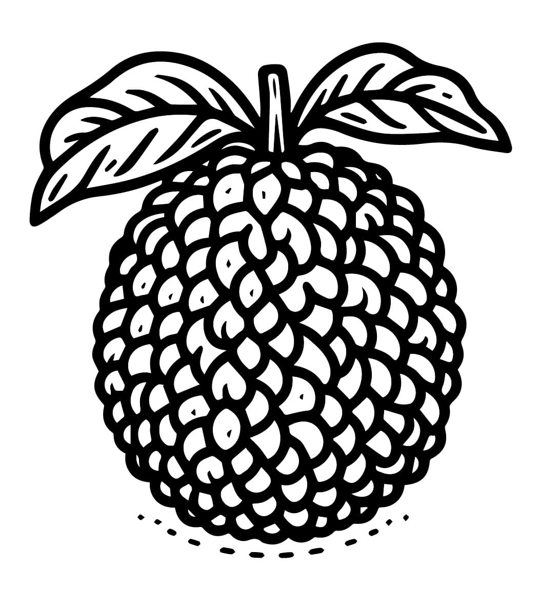 Basic Breadfruit coloring page