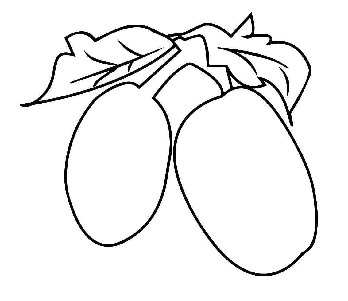 Breadfruit Free coloring page