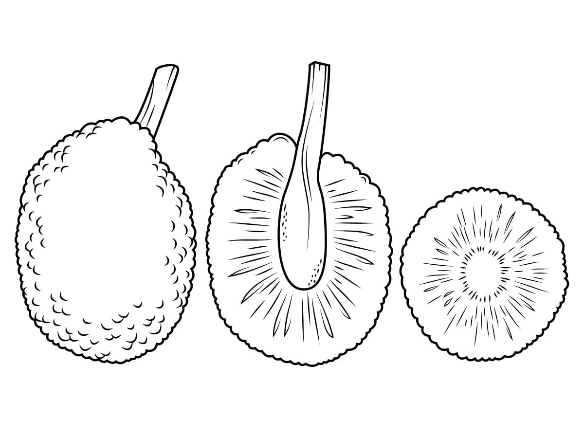 Breadfruit Image coloring page