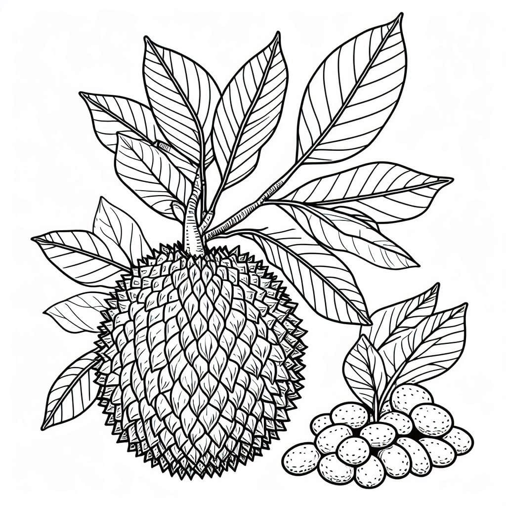 Breadfruit Printable For Kids