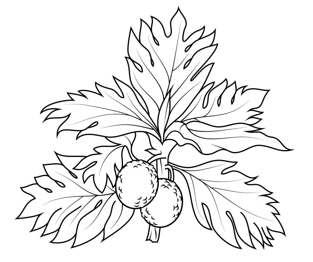 Breadfruit Tree coloring page