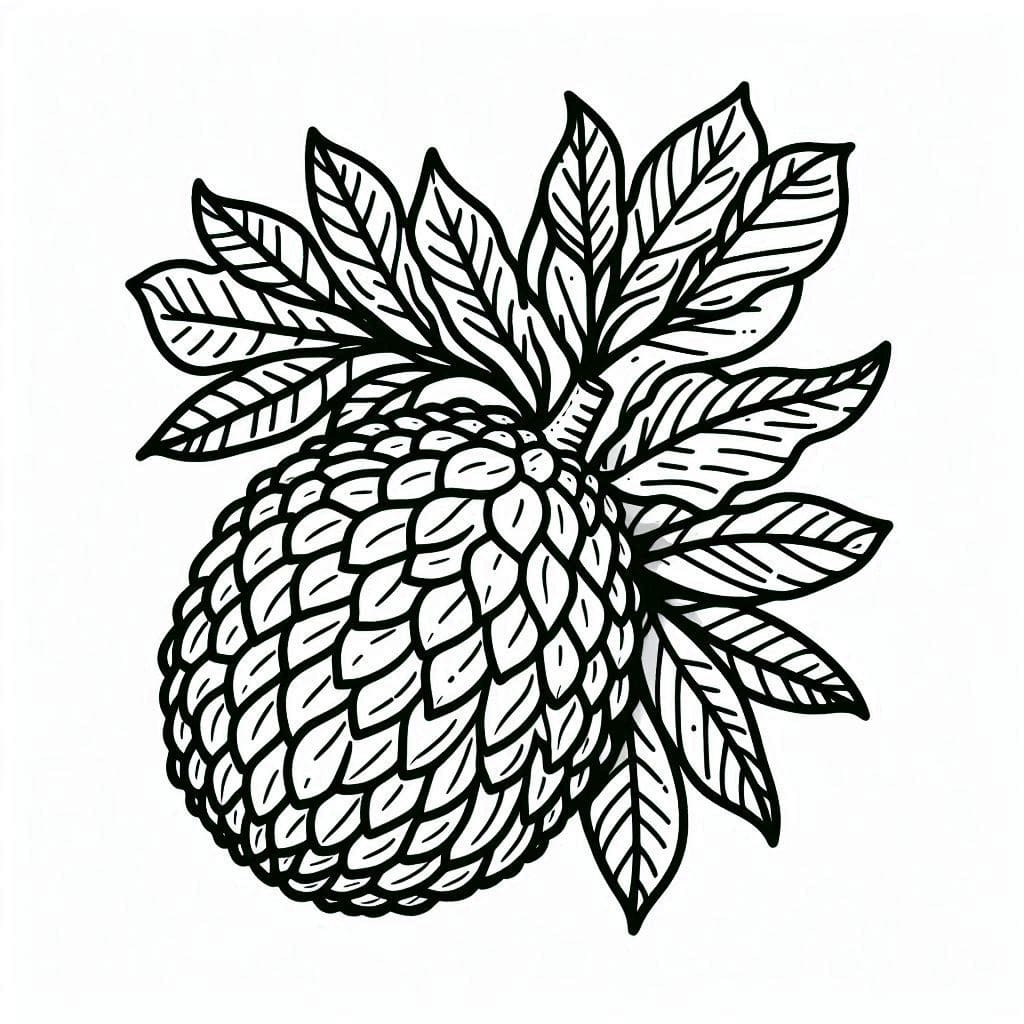 Breadfruit with Leaves coloring page