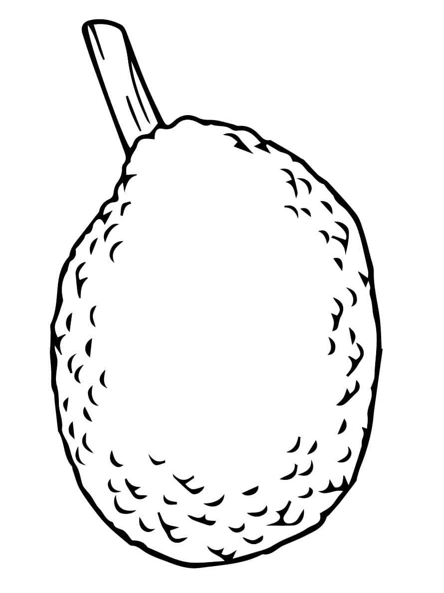 Easy Breadfruit coloring page