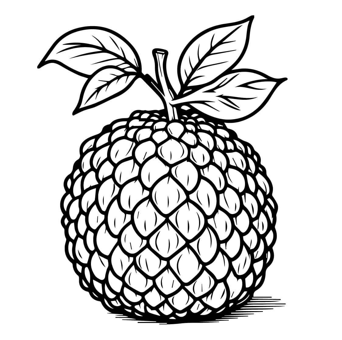 Normal Breadfruit coloring page