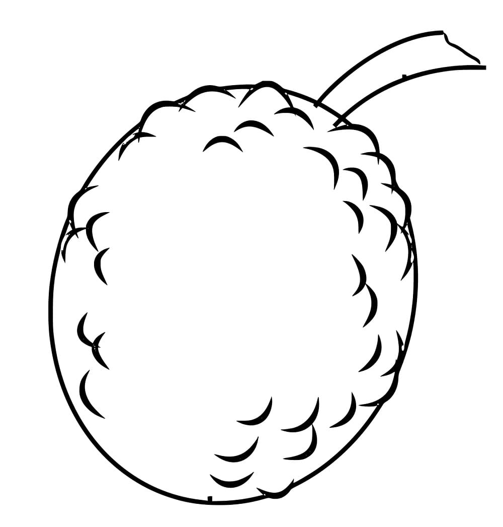 Printable Breadfruit coloring page