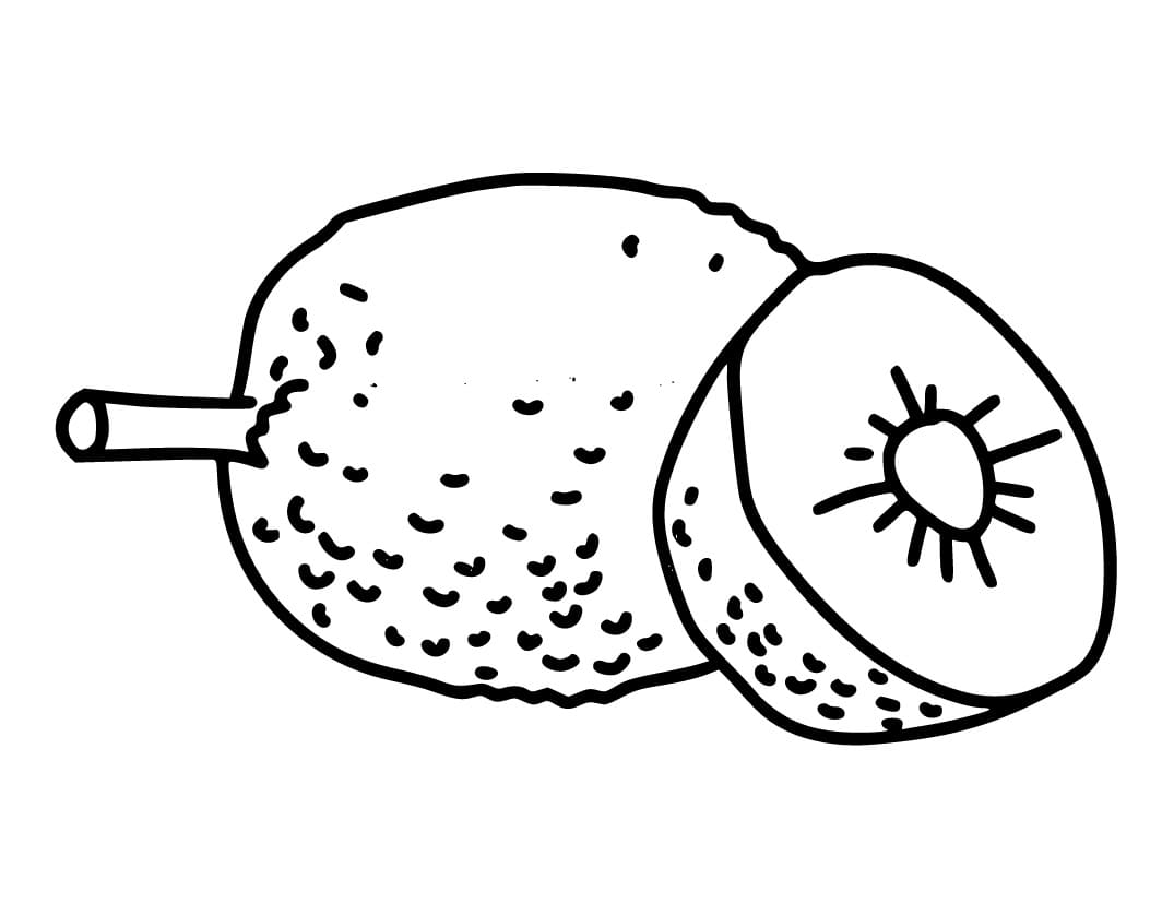 Simple Breadfruit coloring page