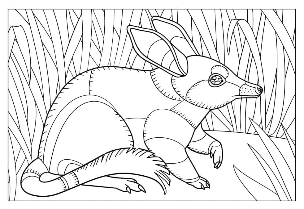 Abstract Bilby Design coloring page