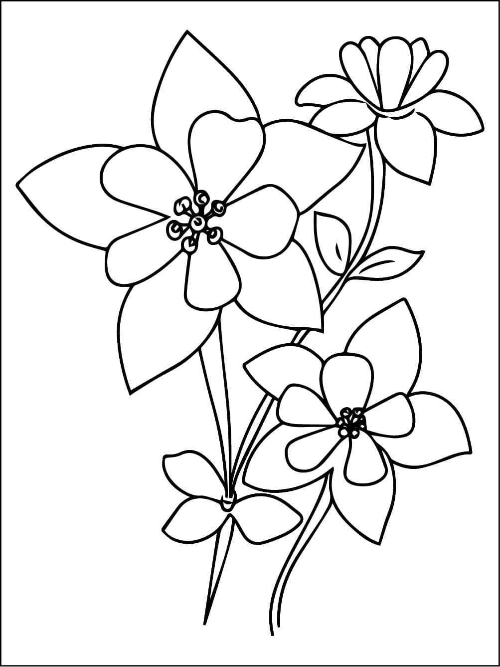 Beautiful Columbine coloring page