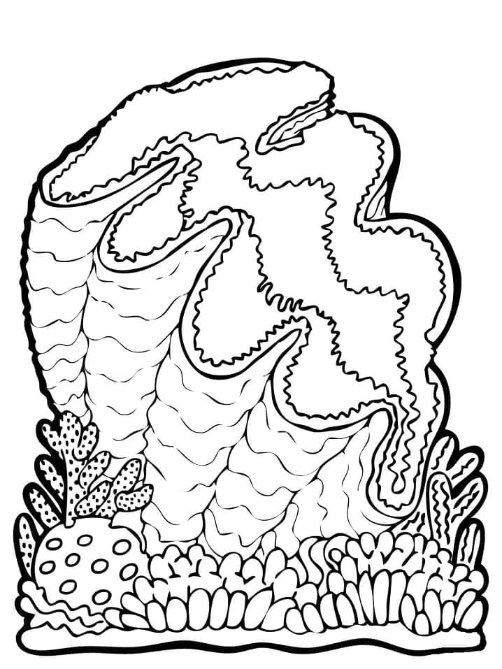 Big Clam coloring page