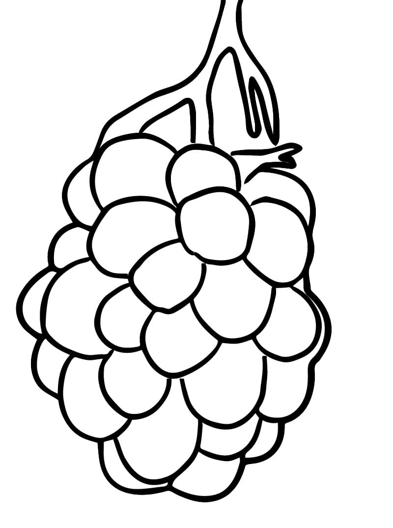 Blackberry Fruit coloring page