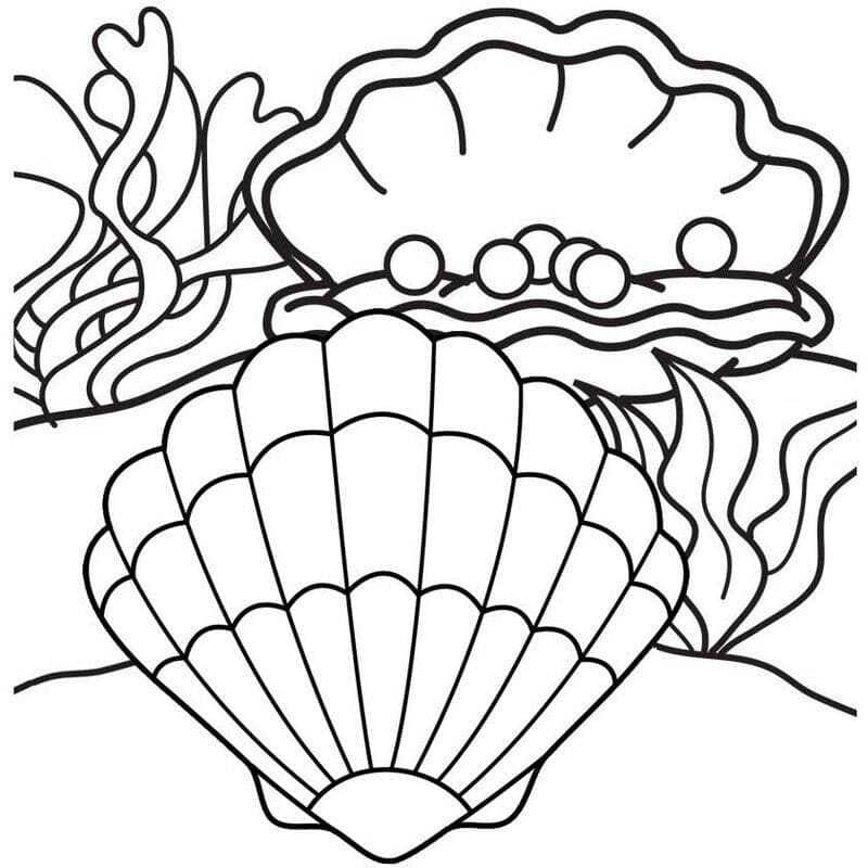 Clam and Pearls coloring page