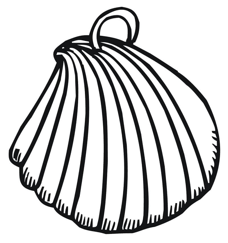 Clam Shell Earring coloring page