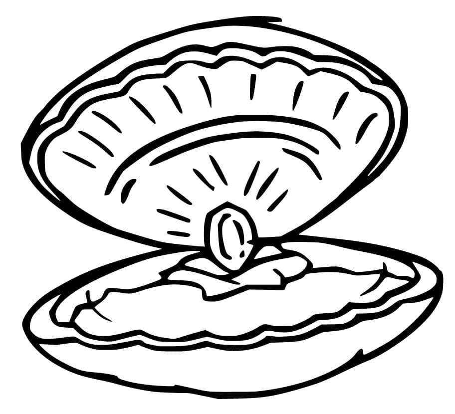 Clam with Pearl coloring page