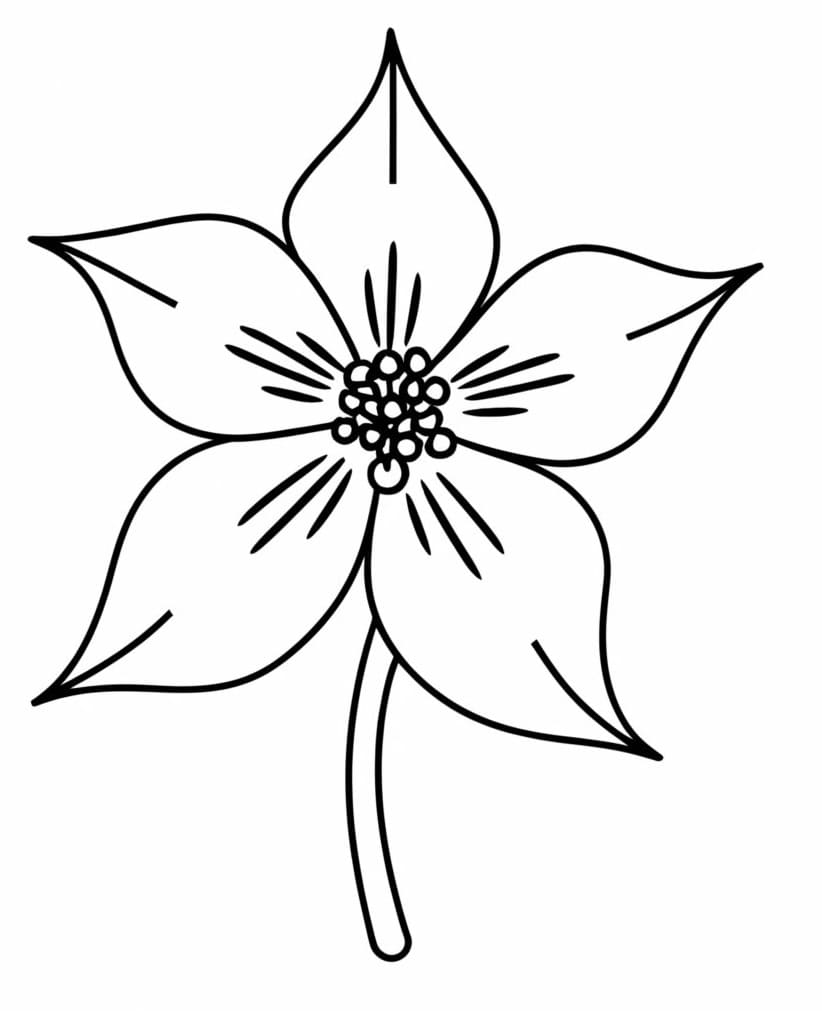 Columbine Printable