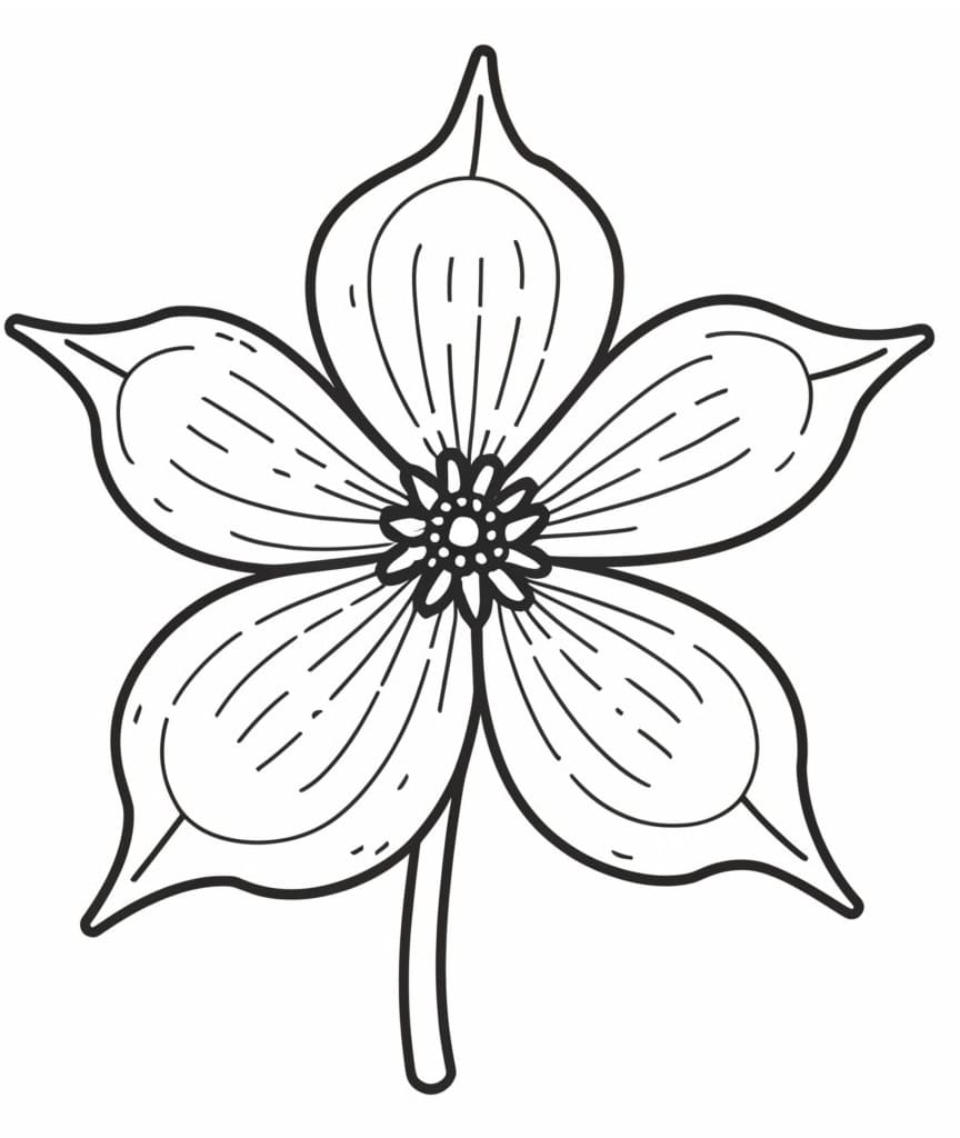 Columbine to Print coloring page