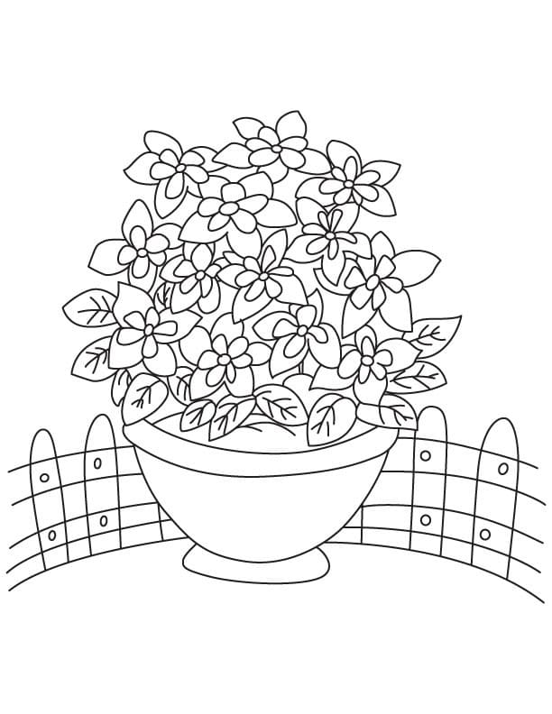 Columbine Vase coloring page