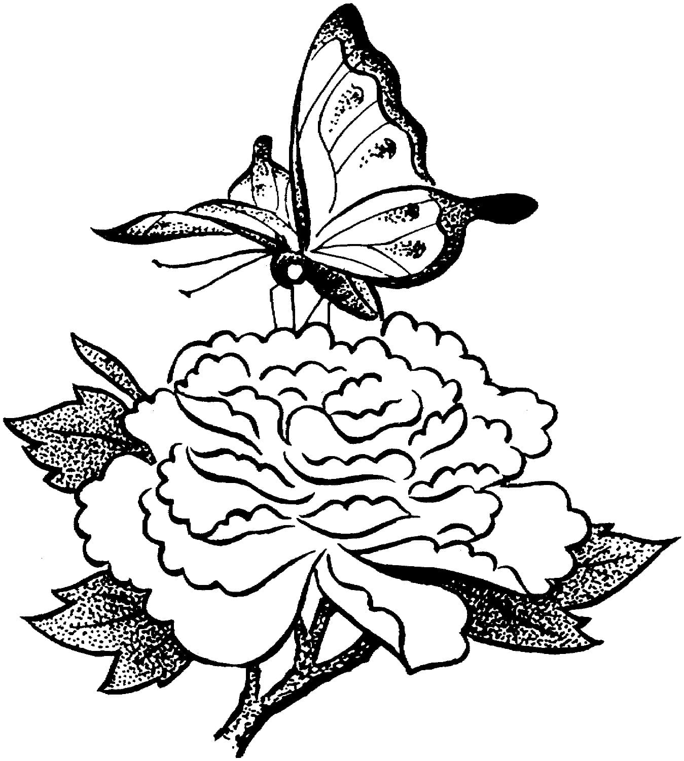 Drawing of Flower and Butterfly