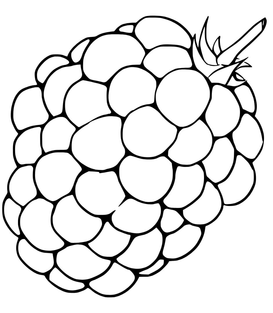 Easy Blackberry coloring page