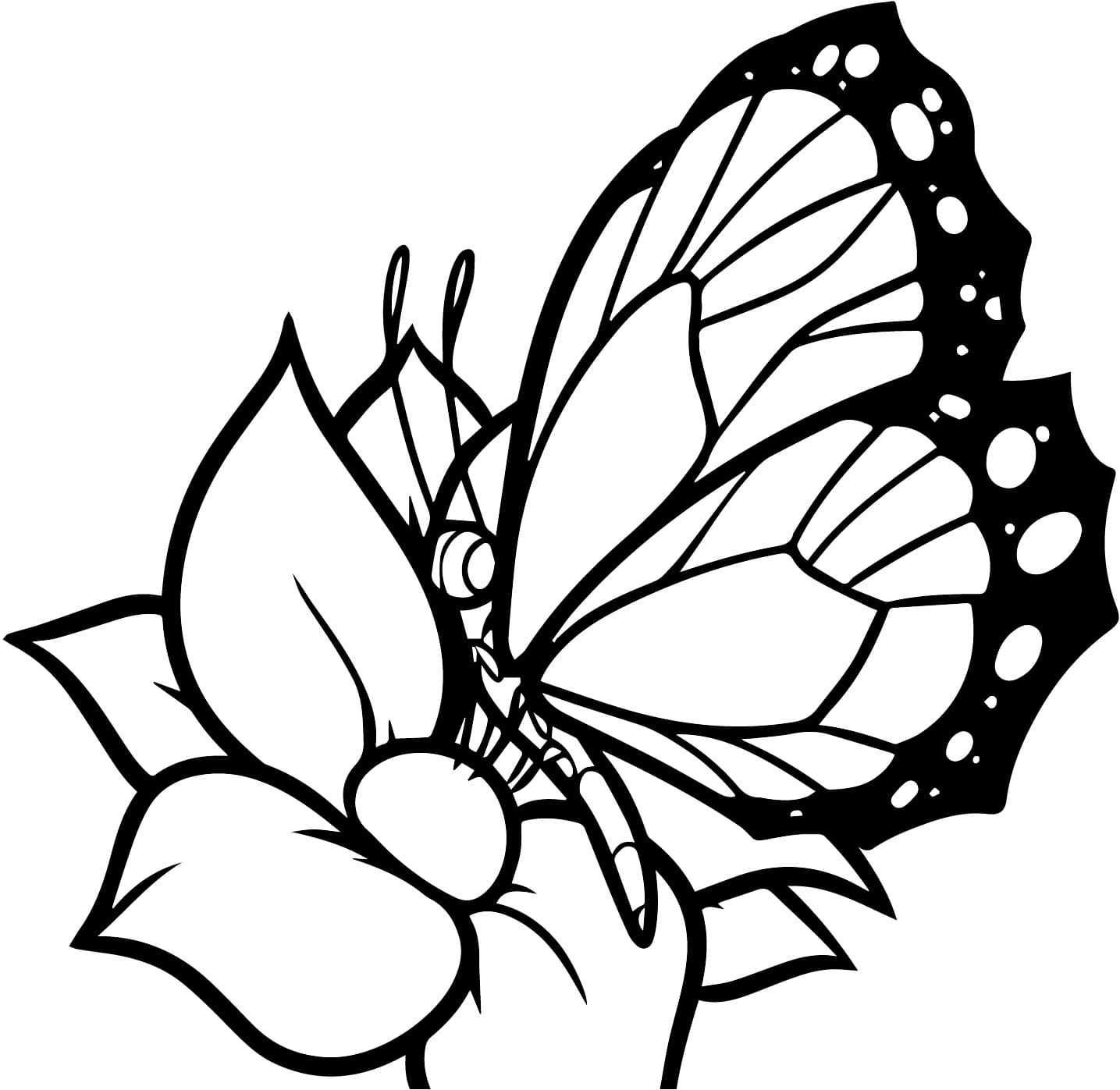 Flower and A Butterfly coloring page