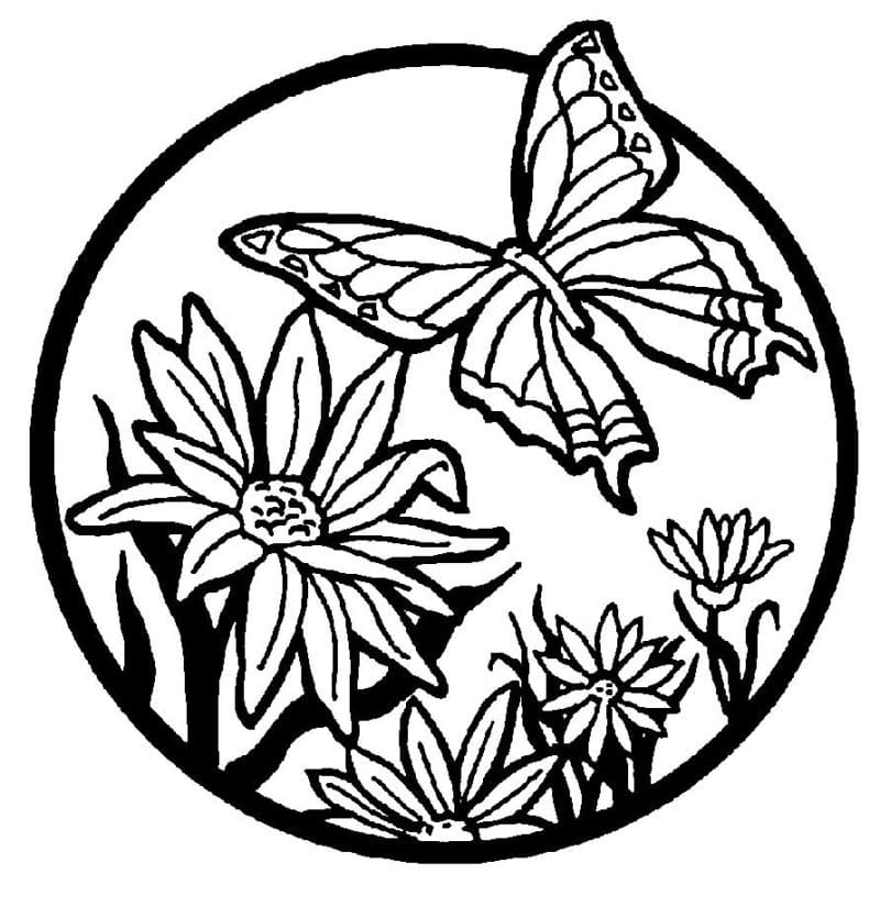 Flower and Butterfly Image coloring page