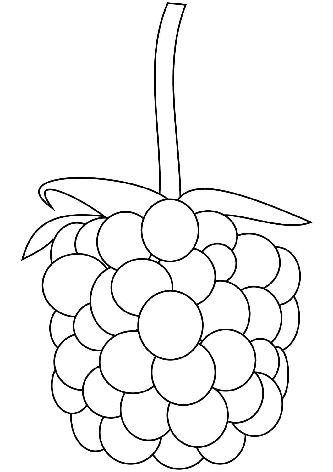 Free Blackberry coloring page