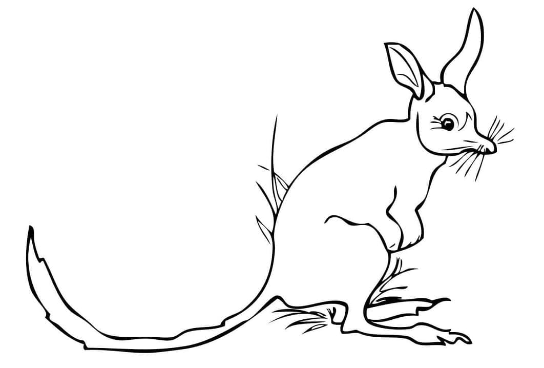 Free Printable Bilby coloring page