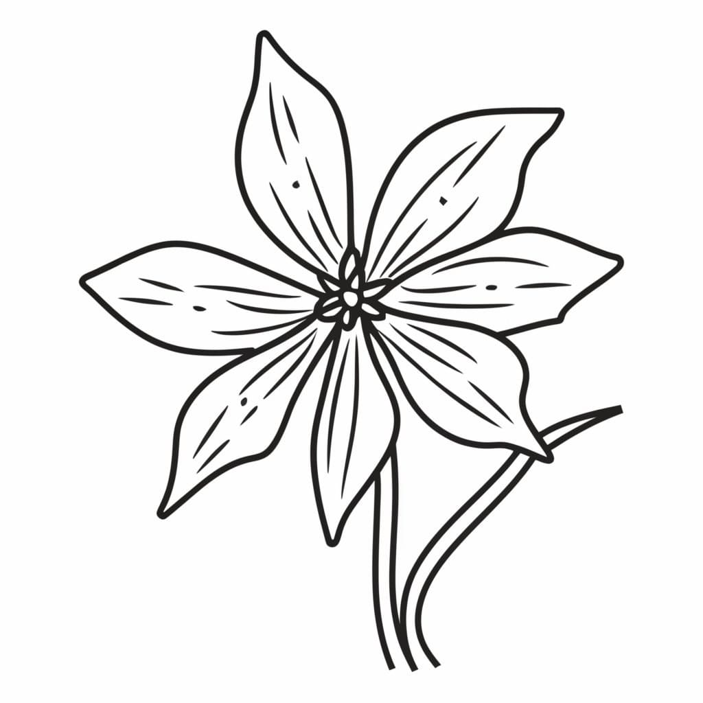 Free Printable Columbine