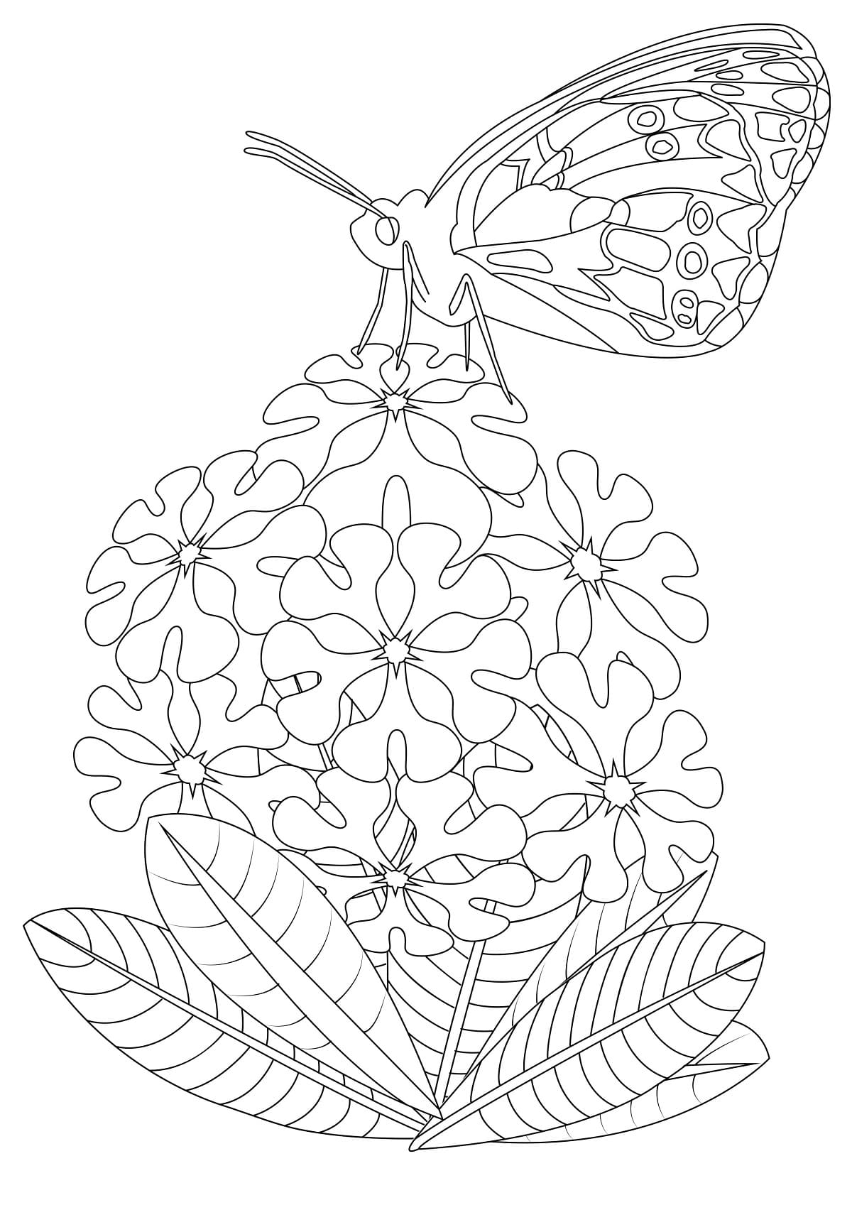 Free Printable Flowers and Butterfly coloring page