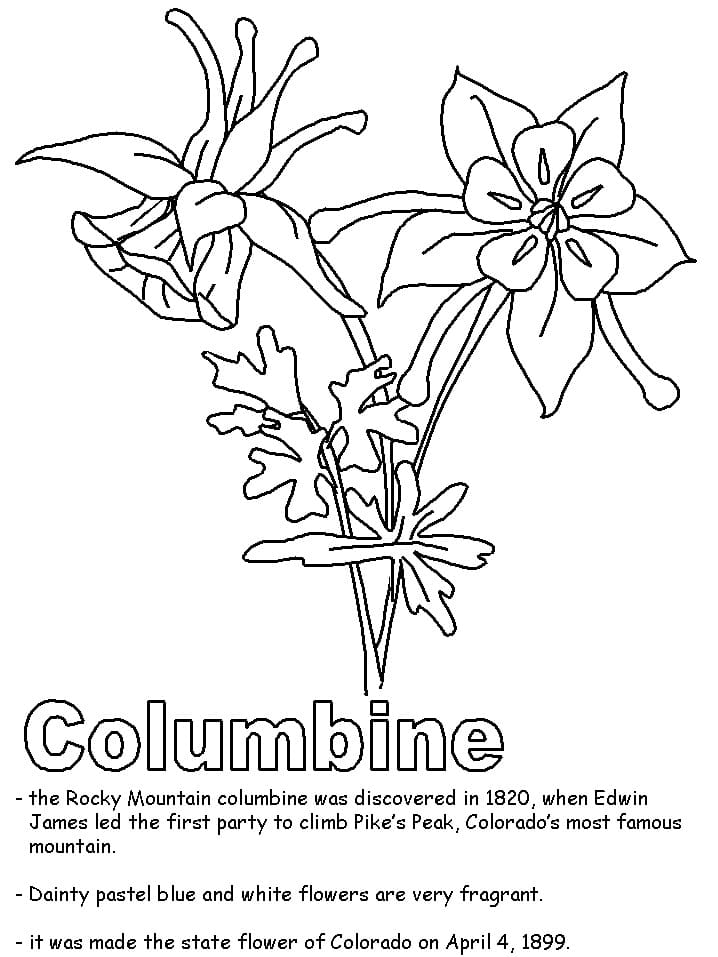 Nice Columbine coloring page