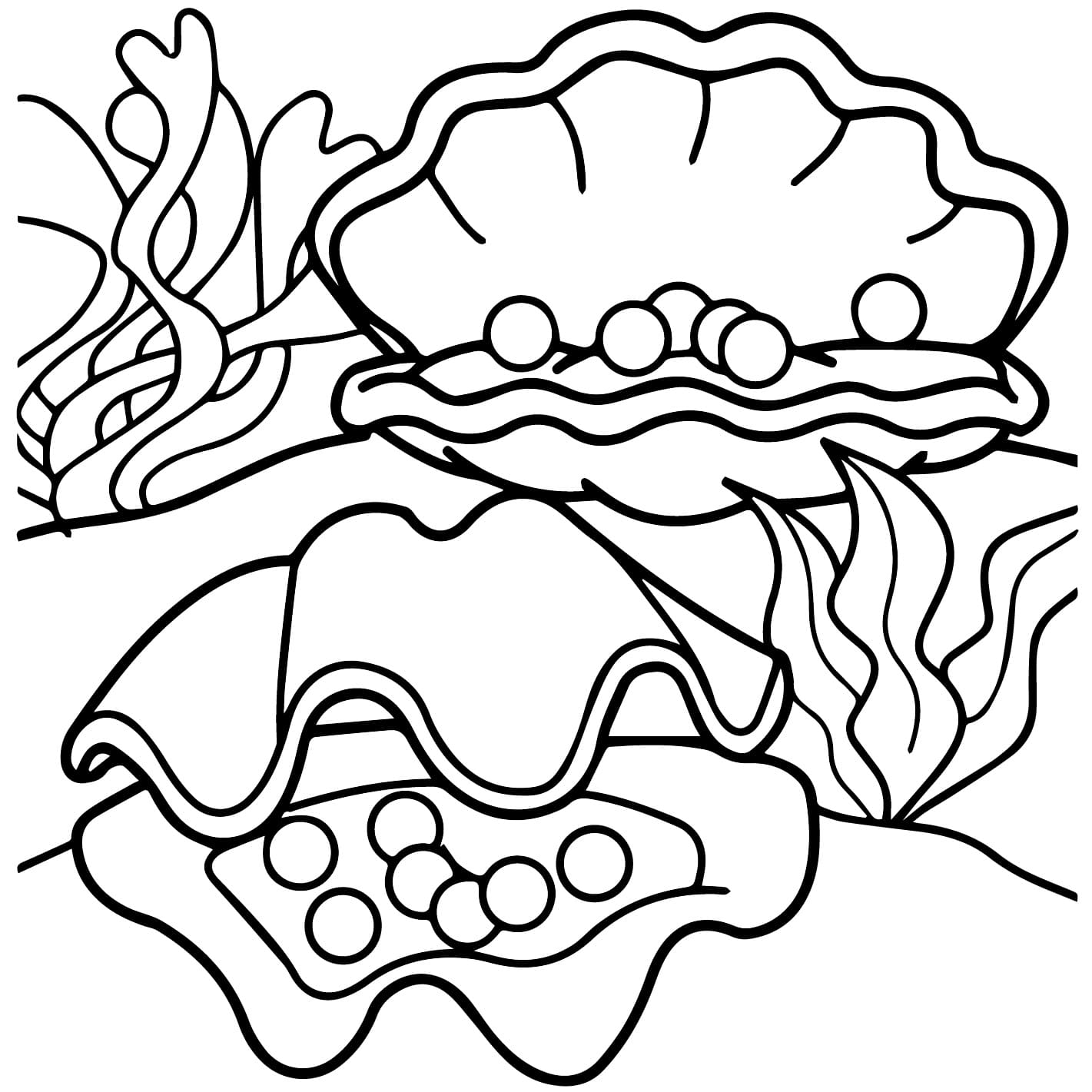 Pearls in Clam coloring page