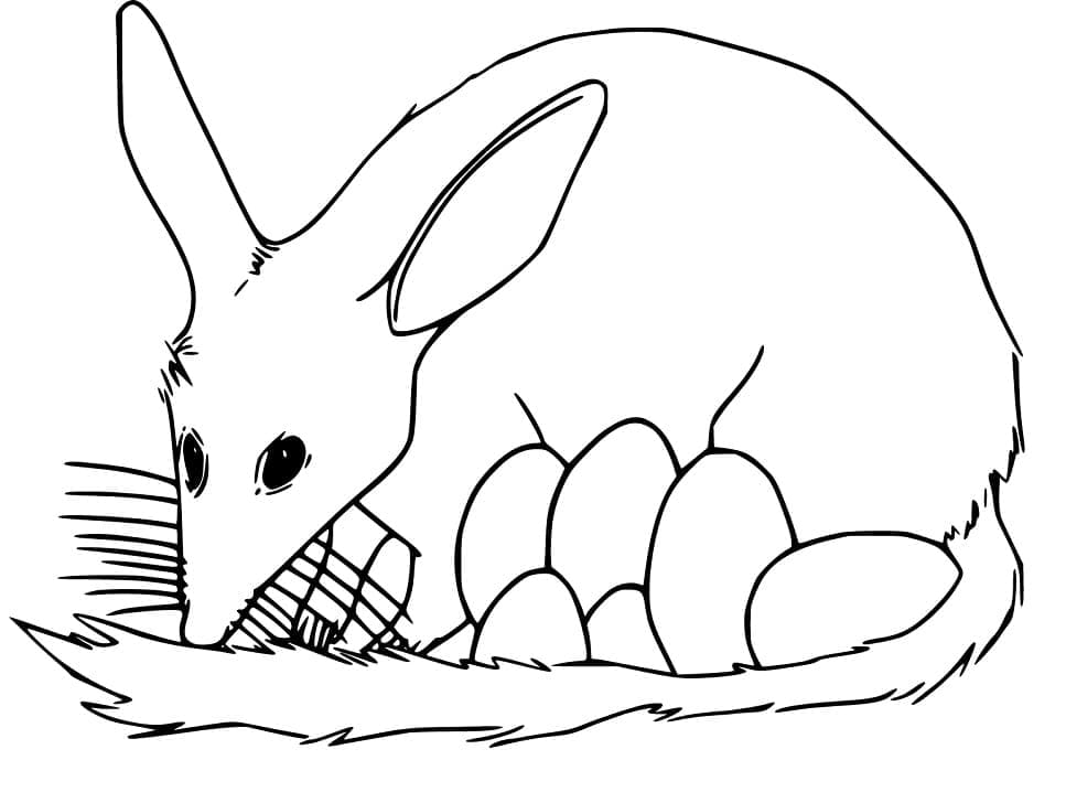 Print Bilby coloring page