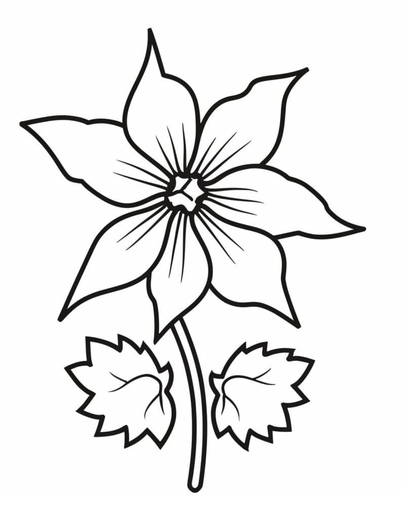 Print Columbine coloring page