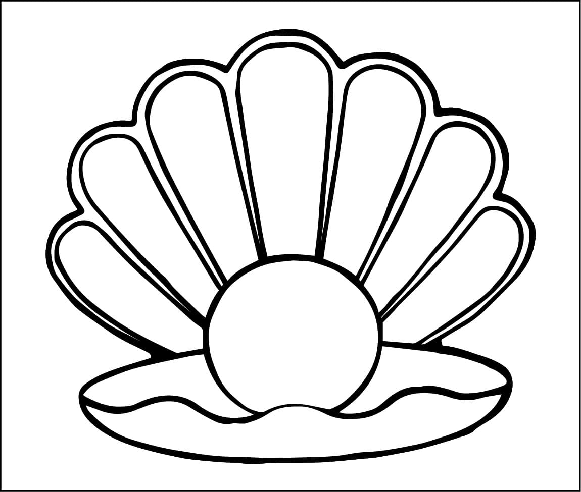 Printable Clam coloring page