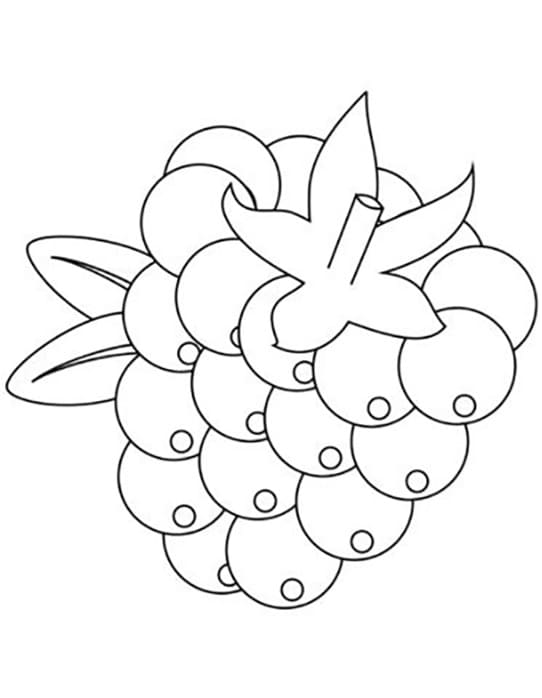 Simple Blackberry coloring page