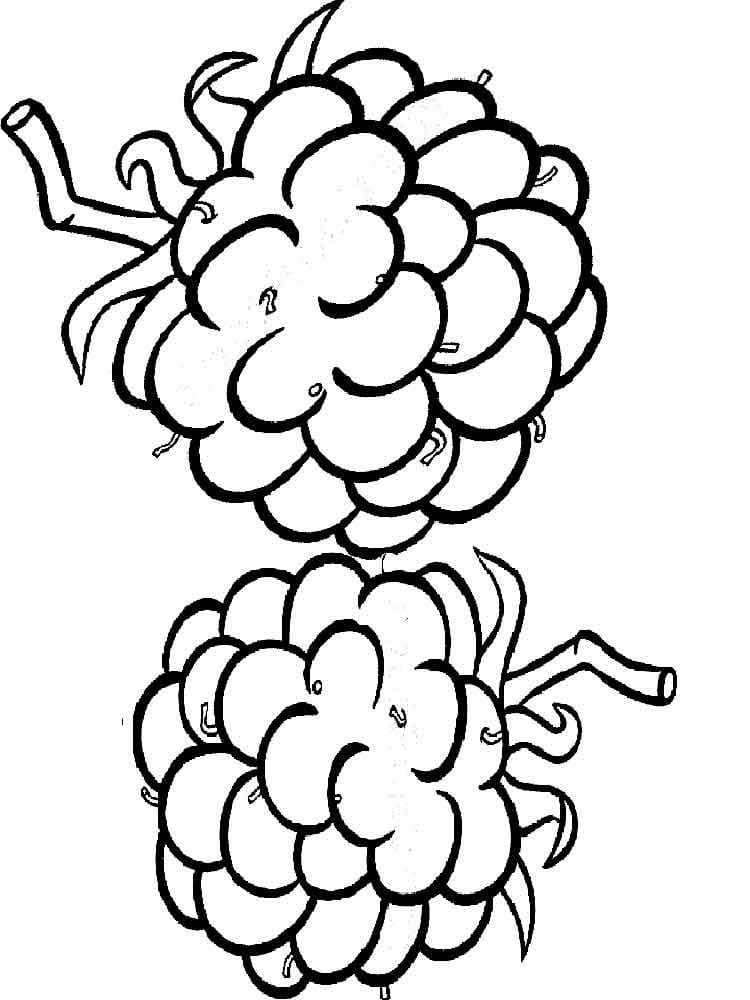 Two Blackberries coloring page