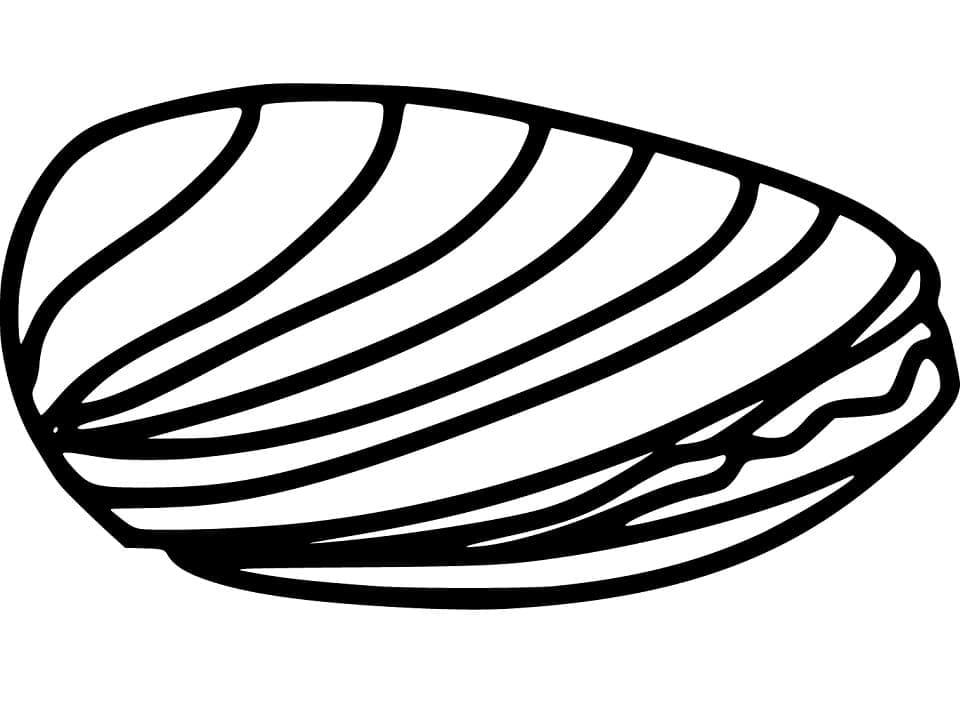 Very Easy Clam coloring page